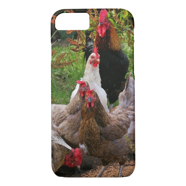 Coque iphone drôle de poulets et de coq de basse (Dos)