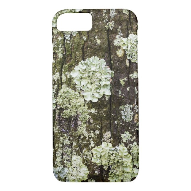 Coque iphone du tronc de chêne Mossy (Dos)