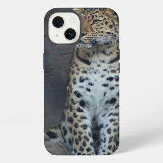 Etui iPhone 13 Étui pour iPhone 6 Léopard de l'Amour