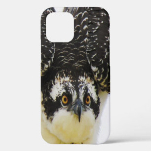 Coque iPhone 12 Étui robuste pour iPhone 12 - Balbuzard pêcheur de