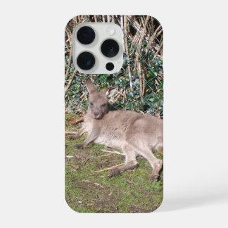 Étuis pour iPhone 15 Pro Wallaby d'Australie