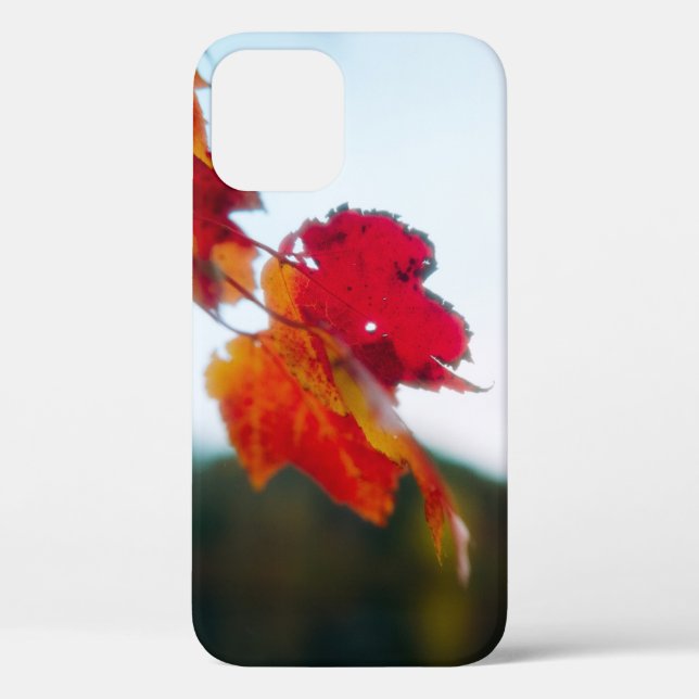Coque iphone feuille automne (Verso)