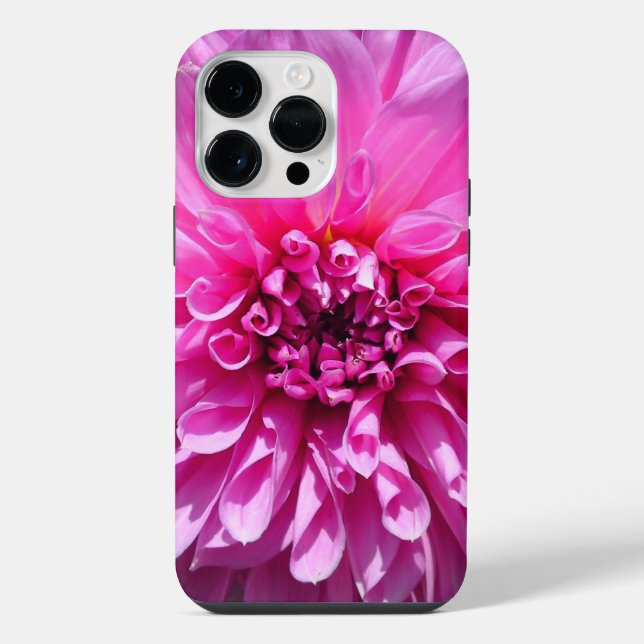 Coque iPhone Fleur Dahlia Rose violet (Verso)