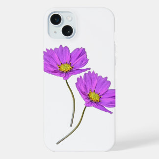 Fleurs Deux Cosmos Violets