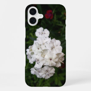 Coque iPhone 16 Plus Fleurs d'œillet blanc