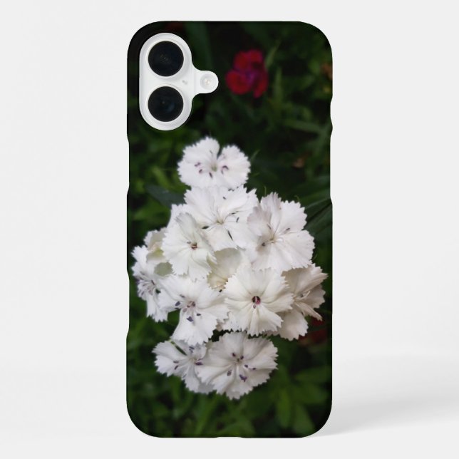 Coque iPhone Fleurs d'oeillets blanches (Verso)