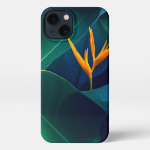 Etui iPhone 13 Fleurs Oiseau du paradis