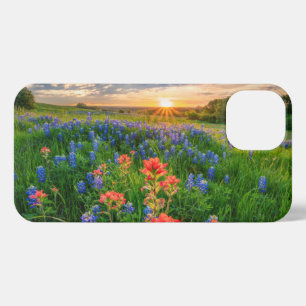 Etui iPhone 13 Fleurs   Texas Bluebonnets & Indian Paintbrush