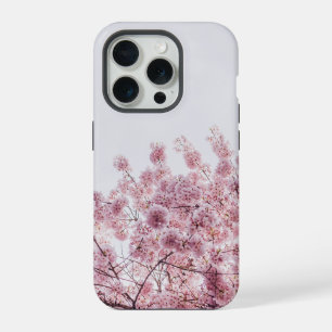Flore rose en fleurs