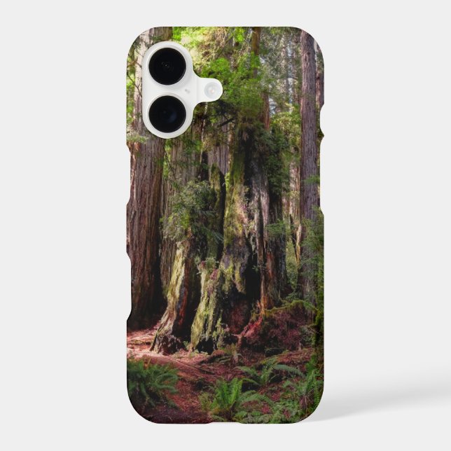 Coque iPhone Forest | Séquwood Forest California (Verso)