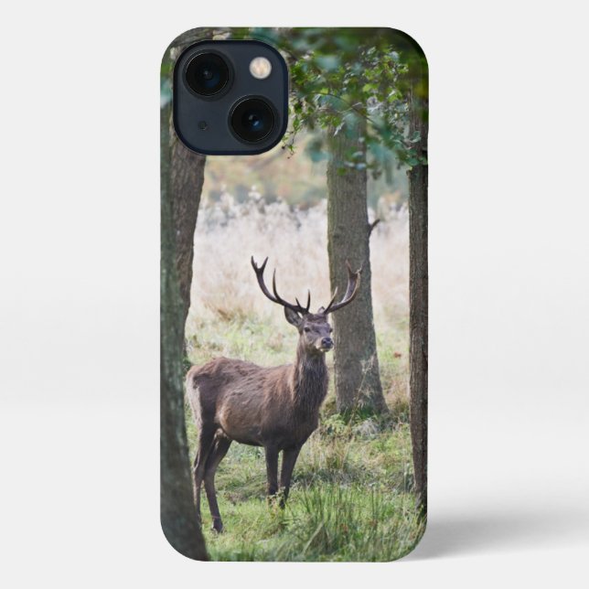 Coque iPhone Forêt | Woodlands & Red Deer (Verso)