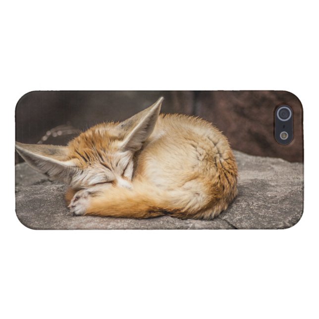 Coque iPhone Fox mignon de Fennec (Dos Horizontal)