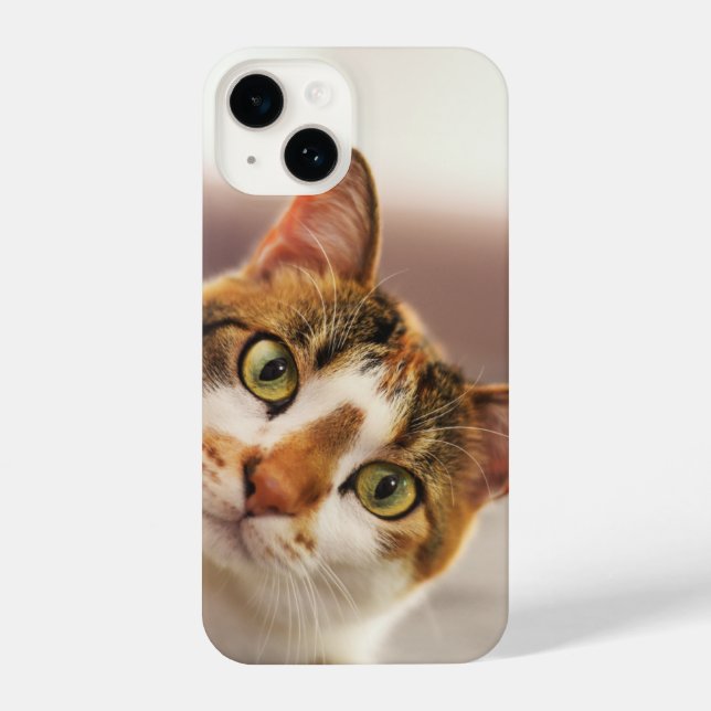 Coque iPhone Fun Curieux Chat Kitten Animal animal de compagnie (Verso)