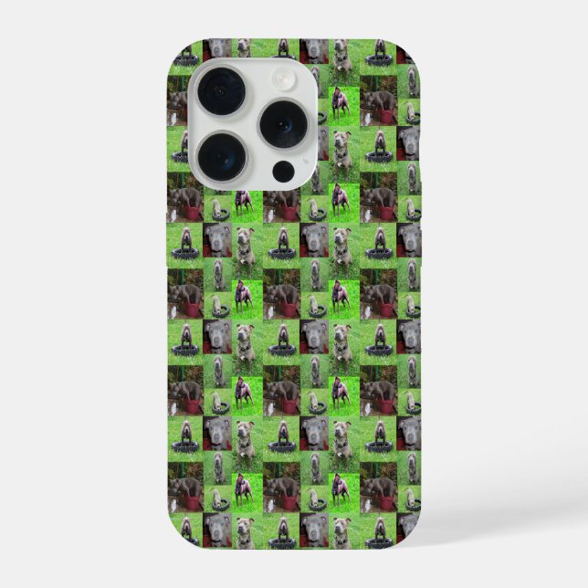 Coque iPhone Funny Staffordshire Bull Terrier Photo Collage, (Verso)