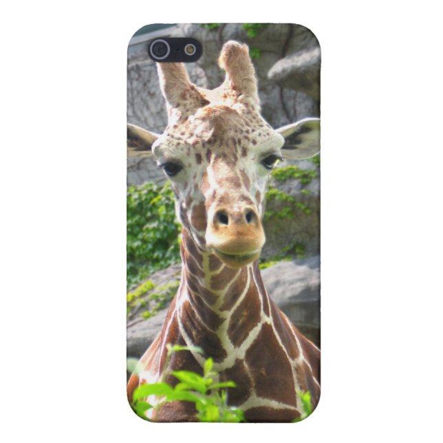 Coque iPhone Girafe (Dos)