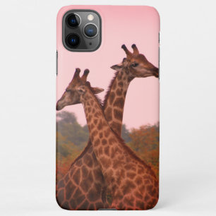 Coque iPhone 11Pro Max Girafe debout dans les mopani avec ciel rose