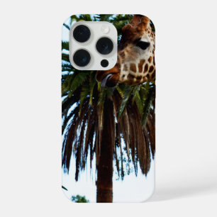 Girafe drôle donnant une framboise,