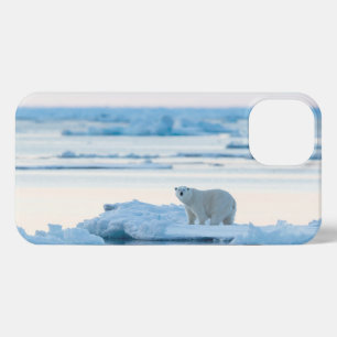 Etui iPhone 13 Glace et neige Ours polaire Iceberg Norvège
