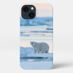 Etui iPhone 13 Glace et neige Ours polaire Iceberg Norvège