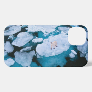 Etui iPhone 13 Glace et neige   Ours polaire, Océan Arctique, Sva