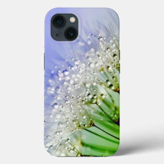 Etui iPhone 13 Graines de pissenlit avec gouttelettes de rosée