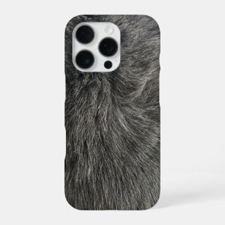 Coque iPhone 16 Pro gray cat