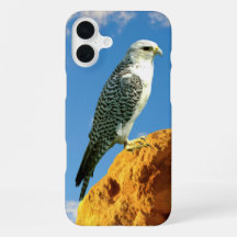 Gyrfalcon perché sur un étui de téléphone