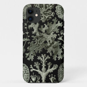 coque iphone Haeckel - Lichenes
