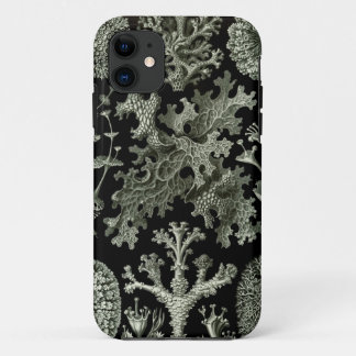coque iphone Haeckel - Lichenes