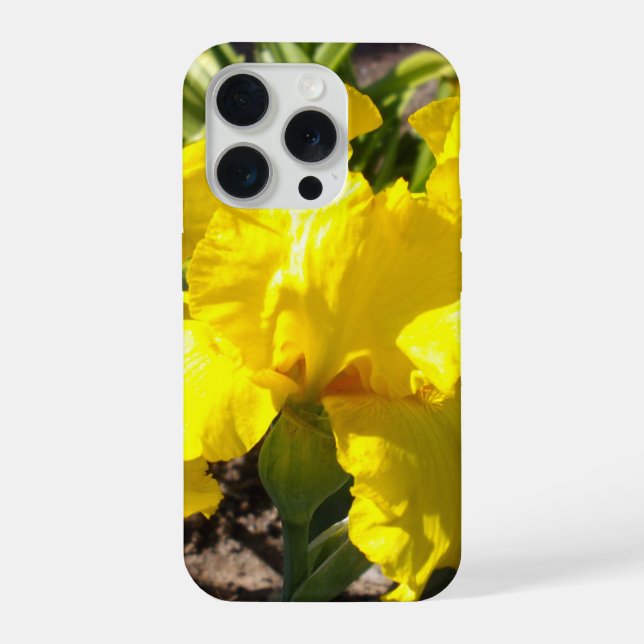 Coque iPhone Iris jaune vif, (Verso)