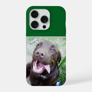 Joies Idiotes : chiot Labrador brun au chocolat,