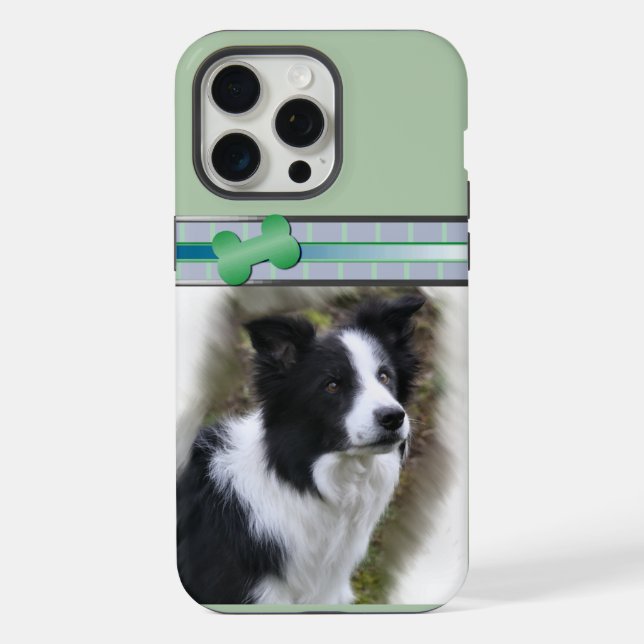 Coque iPhone Jolie frontière moderne Collie Dog Art (Verso)