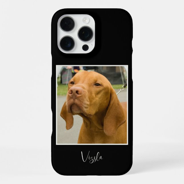 Coque iPhone Jolie photo de Vizsla (Verso)