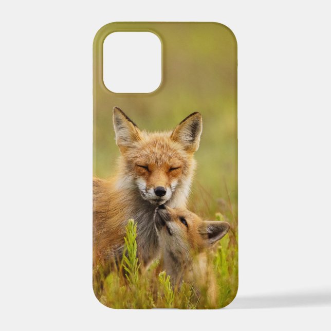Coque iPhone Kit Renard Rouge vers le haut de Momma (Verso)