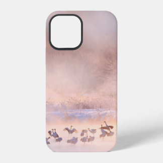 Coque iPhone 12 La nature hivernale japonaise. La faune, la nature