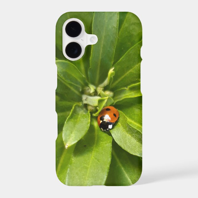 Coque iPhone Ladybug (Verso)