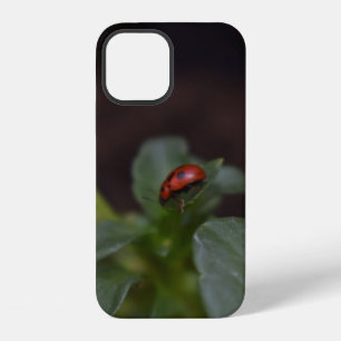 Coque iPhone 12 Ladybug