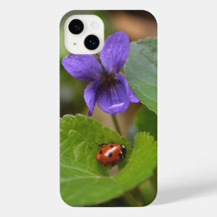 Ladybug sur les fleurs de violet doux