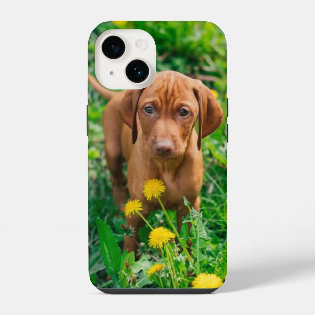 Coque iPhone Les bébés animaux les plus mignons | Chiot Pointer (Verso)