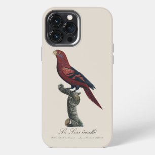 Etui iPhone 13 Pro Max Lori réticulé, Trichoglossus reticulatus