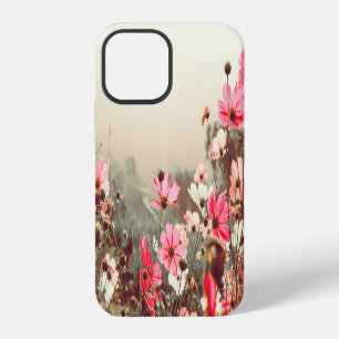 Coque iPhone 12 Lumière du matin, cosmos rose fleurissant.