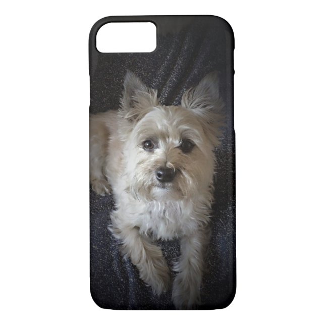 Coque iphone mignon de chien de Terrier de cairn (Dos)