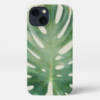 Monstera Leaf