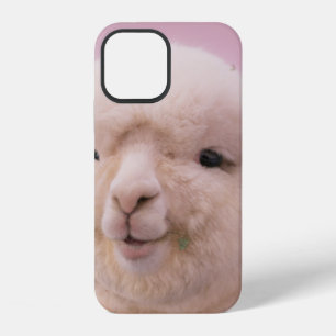 COQUE iPhone 12 MOUTON BLANC EN PHOTOGRAPHIE DE PROXIMITÉ
