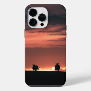 Coque Pour Pour iPhone 14 Pro Max Moutons Coucher de Soleil Photo de Nature