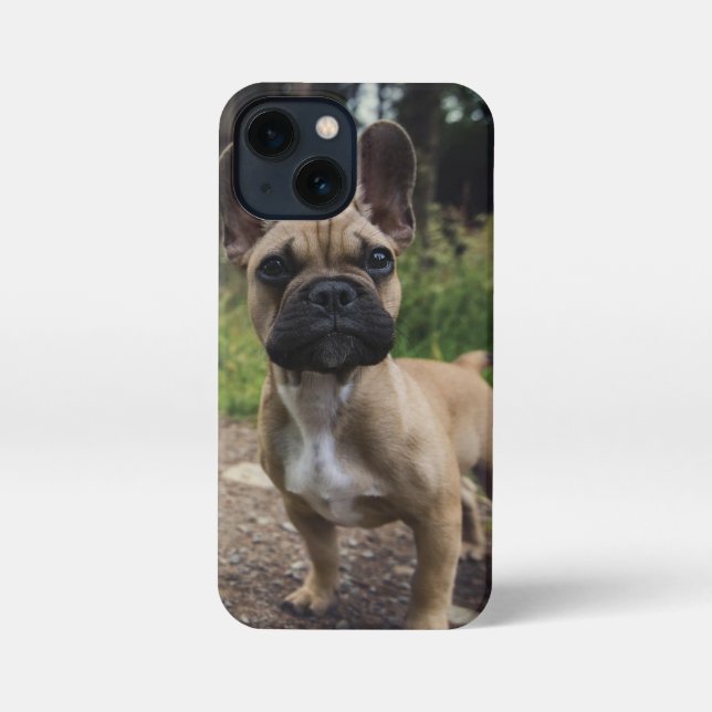 Coque iPhone Oreiller à lancer de chien de taureau français (Verso)