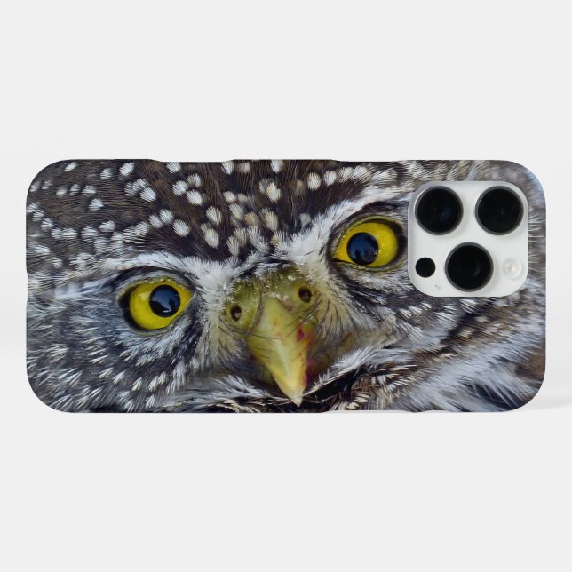 Coque iPhone Owl (Verso Horizontal)