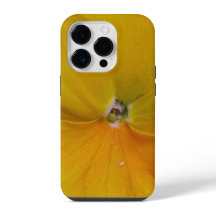 Pansy jaune