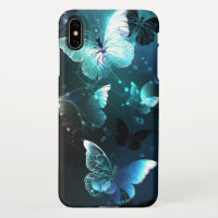 Papillons de nuit