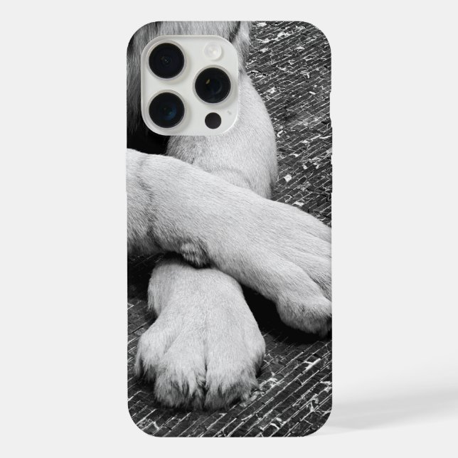 Coque iPhone Pâtes (Verso)